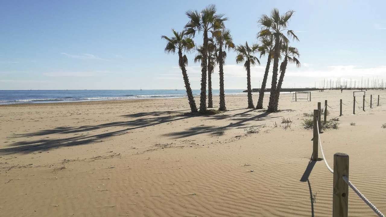 Ola rompiendo en la orilla, con agua azulada y verdosa, cristalina y tranquila, capturada en un día soleado.